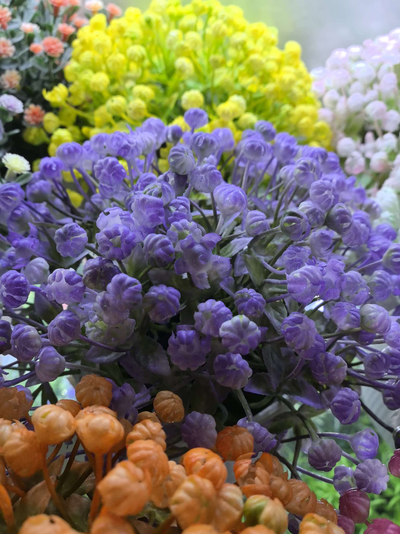 Flower POTS, succulents, green plants, indoor office and living room decoration flowers, green plants, bonsai, and maintenance plants Application Scenario