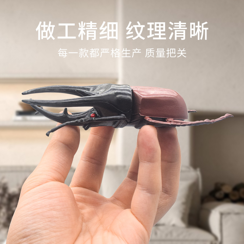 Cross-border wholesale of simulated insect toys, large beetle and rhinoceros beetle models, children's toys, insect and animal models, and ornaments details Picture