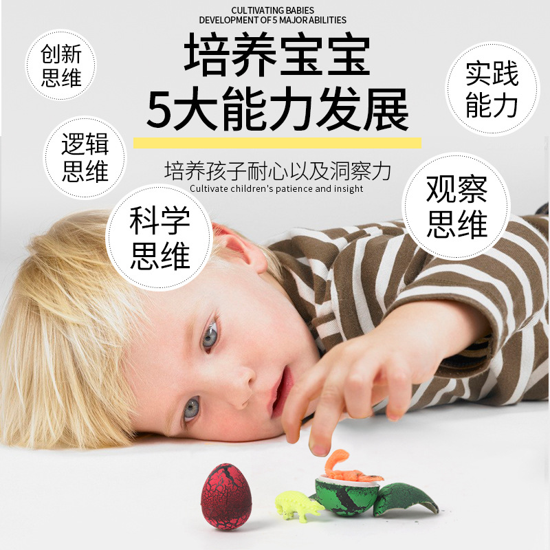 Cross-border dinosaur eggs, soaked in water, expand, crack and hatch, children's toys, dinosaur animal molds, blind boxes, set up stalls Application Scenario