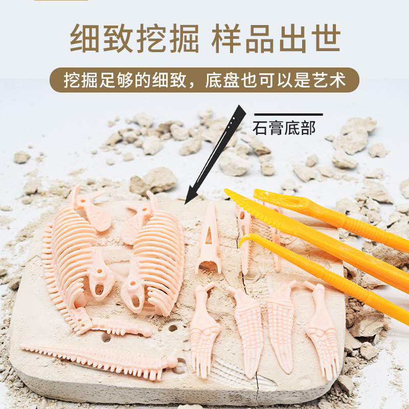 New Dinosaur skeleton excavation 2022 New Children's Intellectual Interest Cultivation Archaeological Dinosaur skeleton assembly Specification drawing