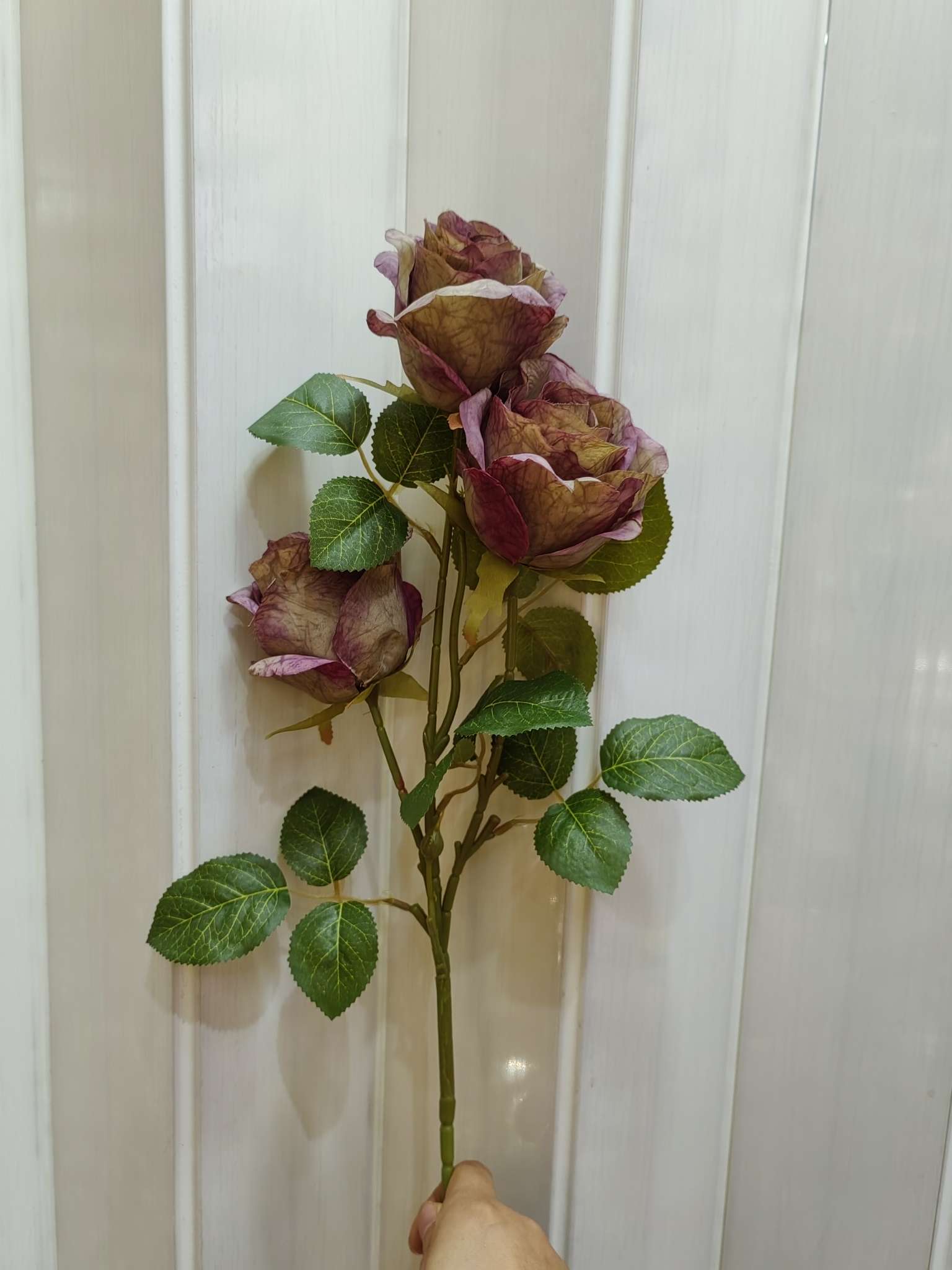 单枝3头玫瑰花蕾