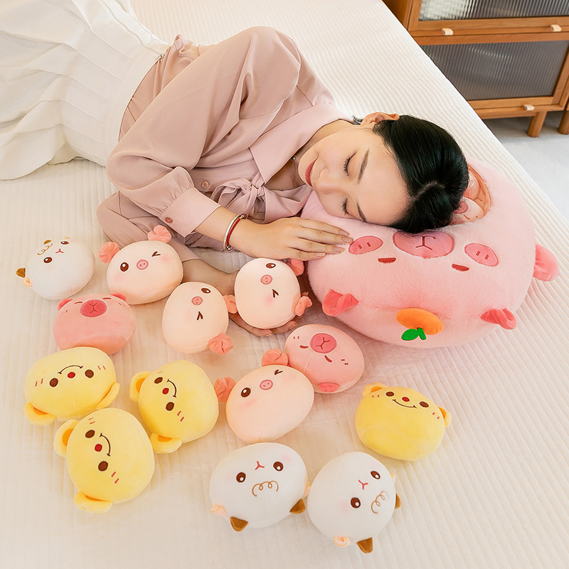 Authentic cute Capibara capybara snacks, throw pillows, dolls, claw machines, stuffed dolls, girls' and children's gifts Application Scenario
