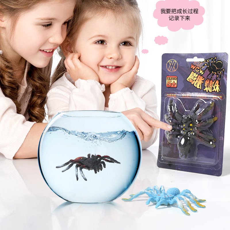 New children's water-soaked swelling spider toy, creative prank animal simulation model, baby educational toy wholesale Specification drawing