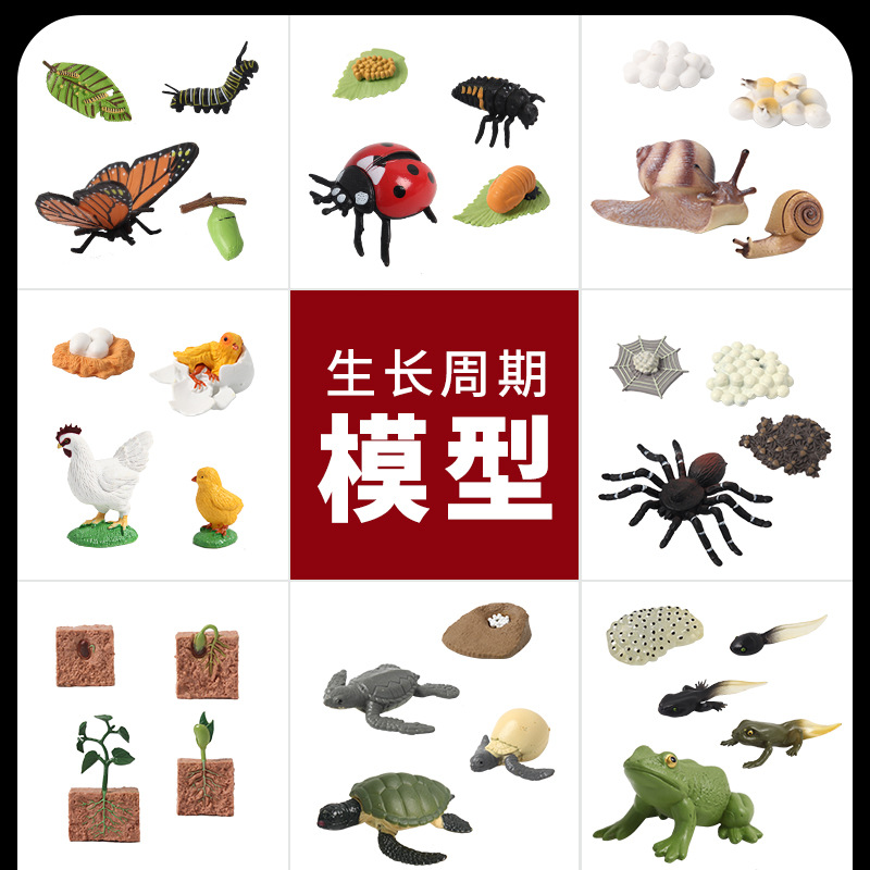 Wholesale of Montessori teaching AIDS, figurines and ornaments featuring simulated animal models, insects, roosters, butterflies, turtles, frogs, growth cycles full figure