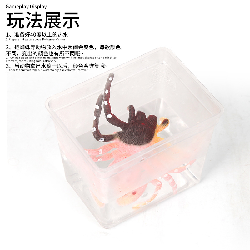 New and unique water-changing simulation insect model spider toy, children's early education and intelligence gift animal model Specification drawing