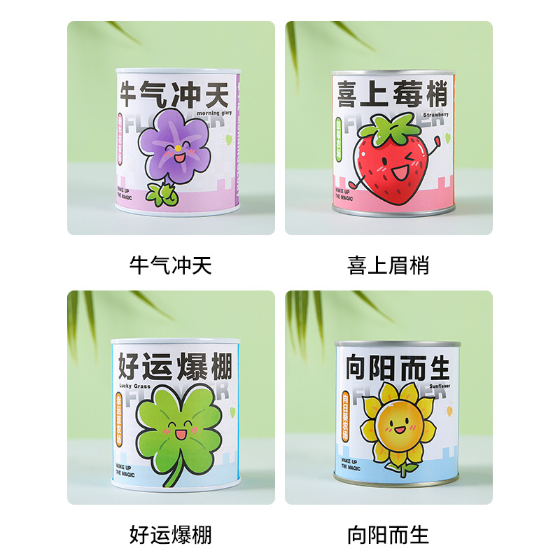 Children's planting of canned potted green plants, blind boxes, kindergarten primary school students, plant growth observation, sprouting seeds Application Scenario
