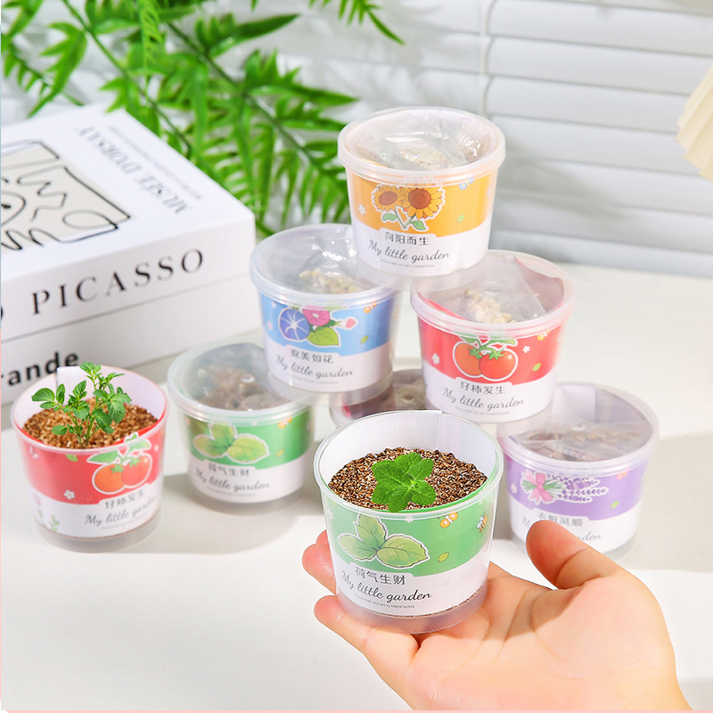 Planting small potted vegetable plants, cultivating children's and students' interest, diy kindergarten opening gifts and reward gifts Specification drawing