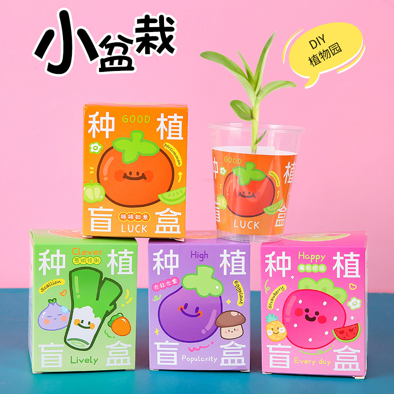 Children's potted plant planting blind box, small potted plants, kindergarten observation plants, primary school students' seeds mini wholesale Specification drawing