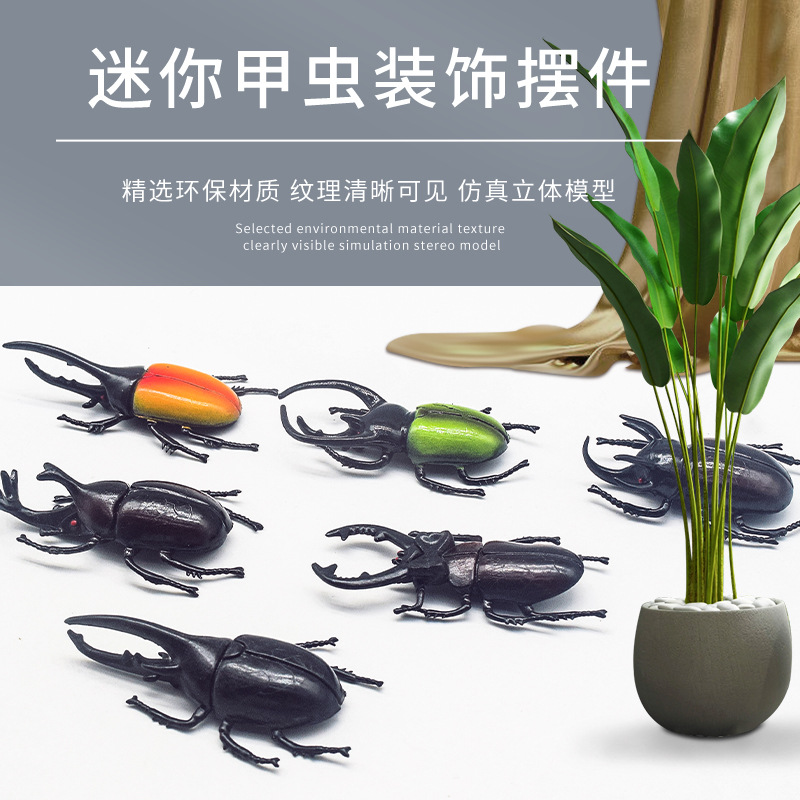 Carefully selected creative mini beetle model decoration new children's fun small toy set, realistic insect ornaments full figure