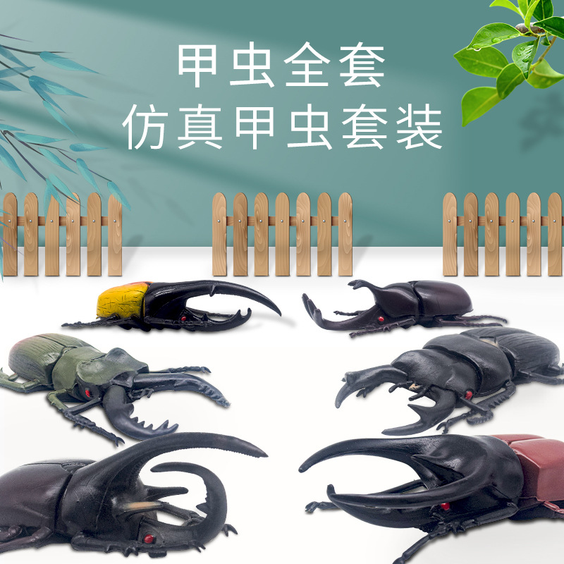 Cross-border wholesale of simulated insect toys, large beetle and rhinoceros beetle models, children's toys, insect and animal models, and ornaments full figure