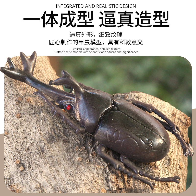 tpr soft rubber floating large beetle simulation animal insect model, children's novel small toy, prank insect prop Application Scenario