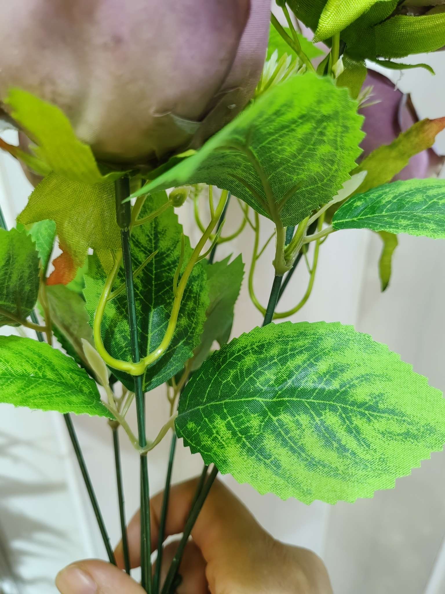 الورود ذات الحواف تشبه الورود detail image 3