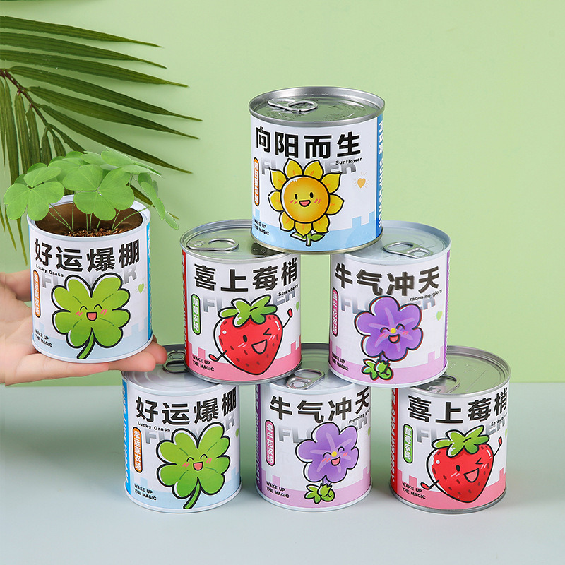 Children's planting of canned potted green plants, blind boxes, kindergarten primary school students, plant growth observation, sprouting seeds full figure