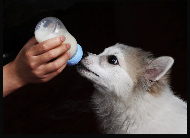 宠物迷你奶瓶120ML幼犬幼猫奶狗奶猫小用品幼宠专用奶瓶可定制详情10