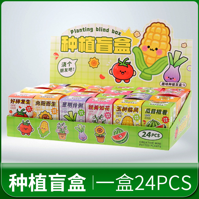 New creative DIY children's gift potted plant blind box, fun table decoration, student prize gift potted plant details Picture