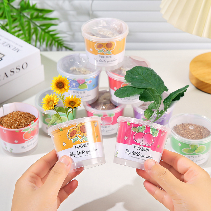 Planting small potted vegetable plants, cultivating children's and students' interest, diy kindergarten opening gifts and reward gifts Application Scenario