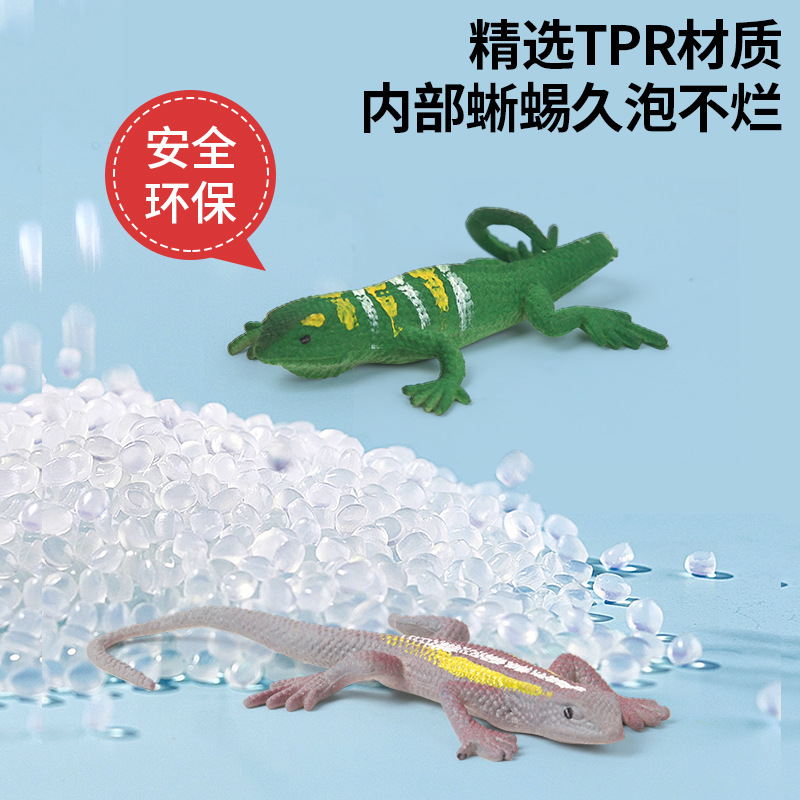 Wholesale of new creative lizard simulation animal models, high-fidelity water-swelling simulation insect children's toys Application Scenario