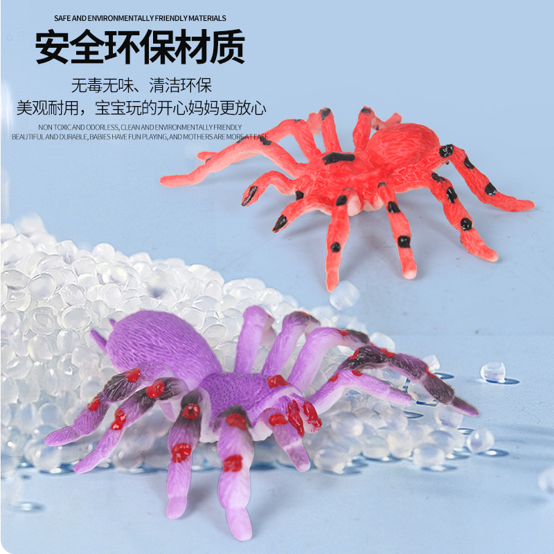 New and unique water-changing simulation insect model spider toy, children's early education and intelligence gift animal model details Picture