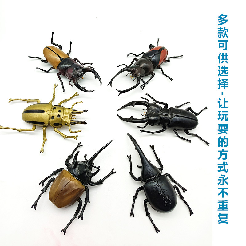 Foreign trade simulation insect toys, large beetle, stag beetle prank model ornaments, children's cognitive toys, early education gifts Application Scenario