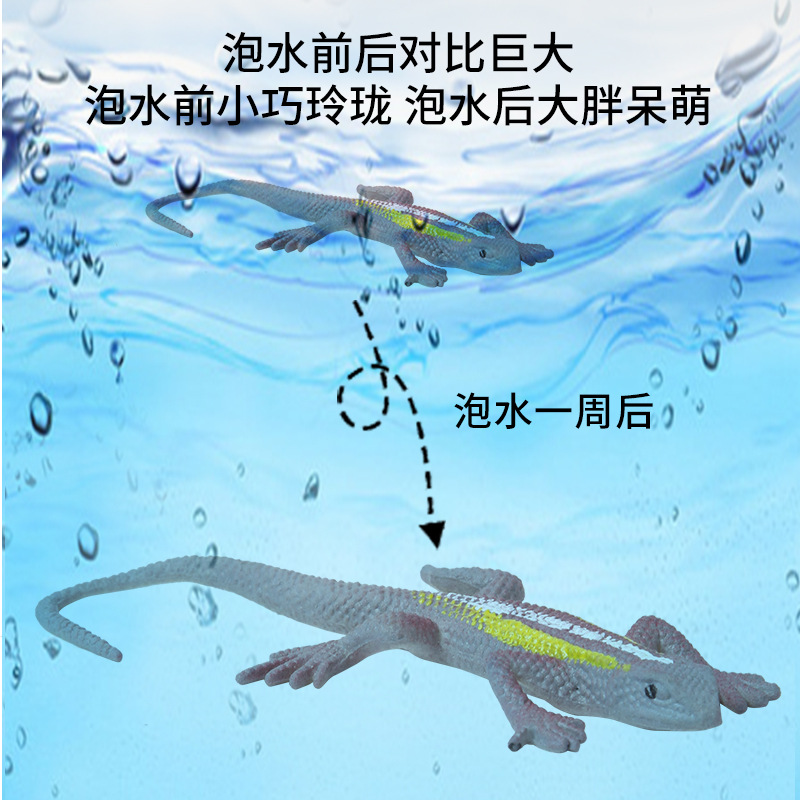 Wholesale of new creative lizard simulation animal models, high-fidelity water-swelling simulation insect children's toys details Picture