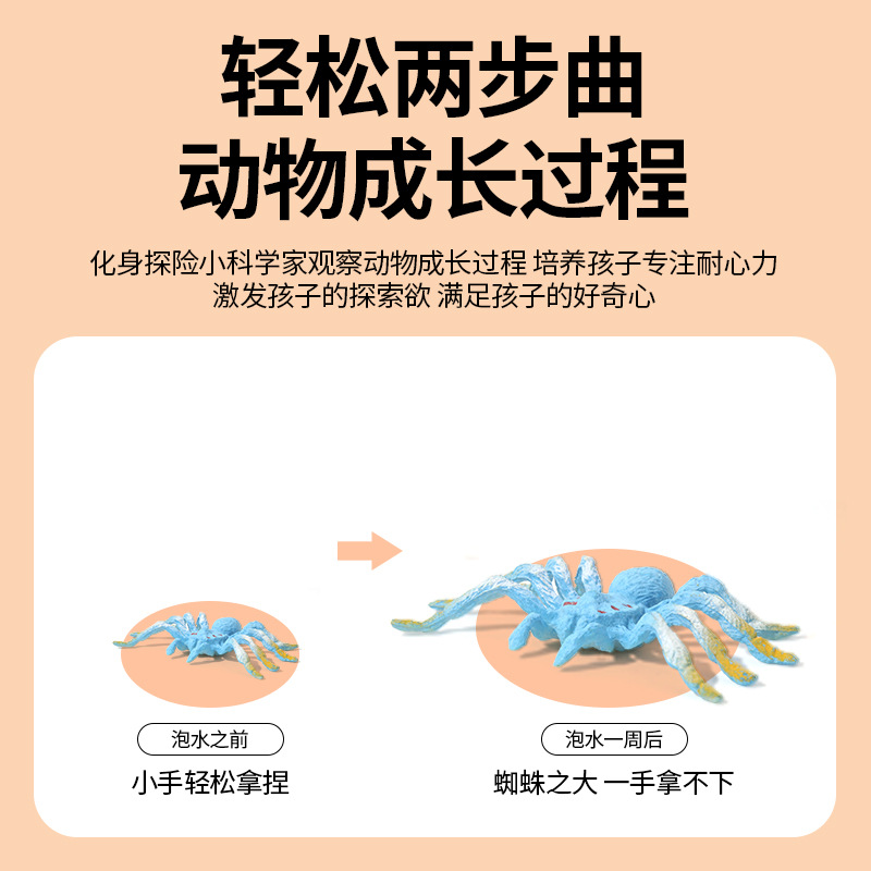 New children's water-soaked swelling spider toy, creative prank animal simulation model, baby educational toy wholesale details Picture