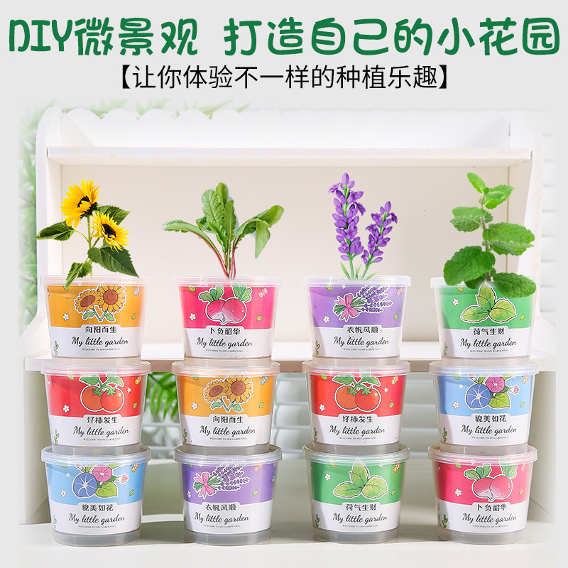 Planting small potted vegetable plants, cultivating children's and students' interest, diy kindergarten opening gifts and reward gifts full figure