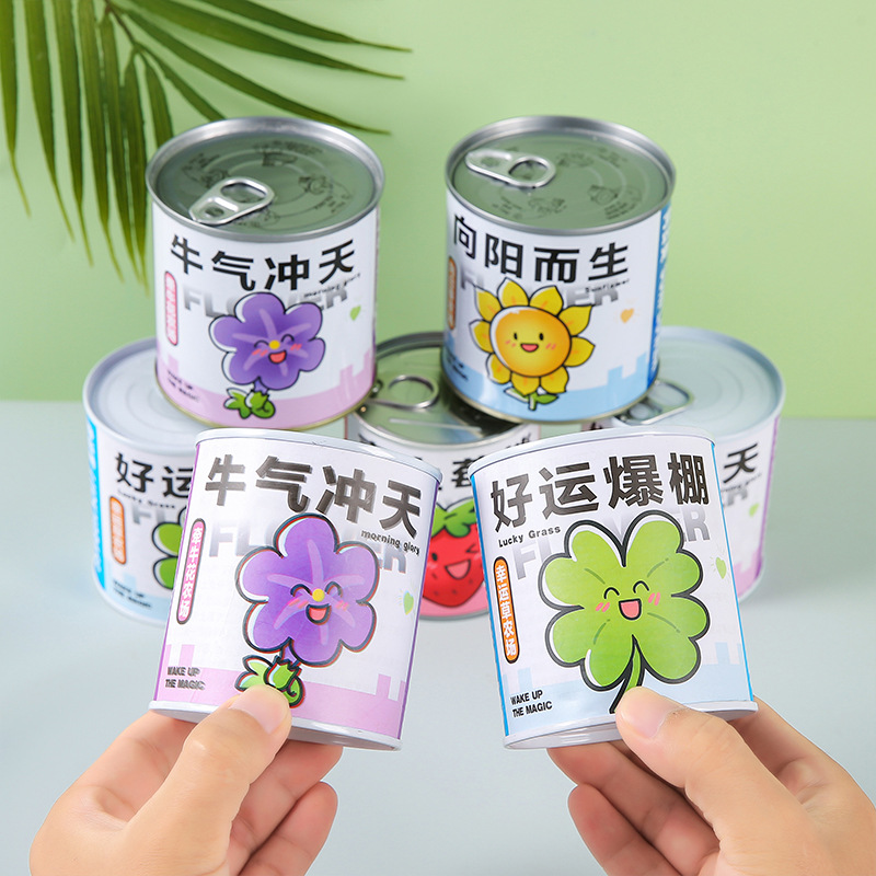 Children's planting of canned potted green plants, blind boxes, kindergarten primary school students, plant growth observation, sprouting seeds Specification drawing
