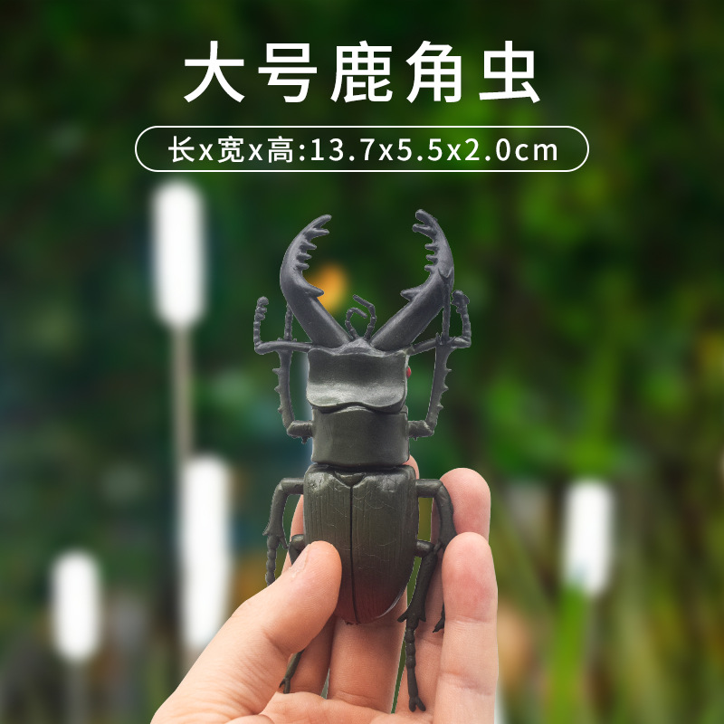 Cross-border wholesale of simulated insect toys, large beetle and rhinoceros beetle models, children's toys, insect and animal models, and ornaments Specification drawing