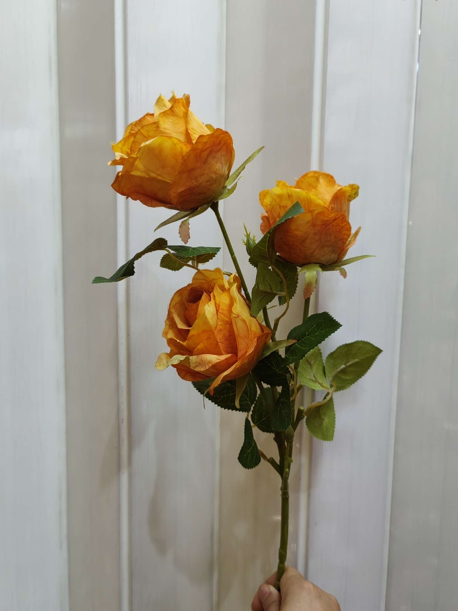 ثلاثة براعم وردية واحدة Item Picture
