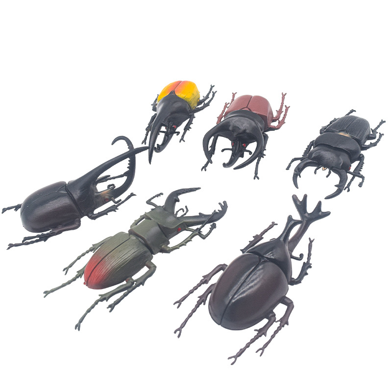 Cross-border wholesale of simulated insect toys, large beetle and rhinoceros beetle models, children's toys, insect and animal models, and ornaments Item Picture
