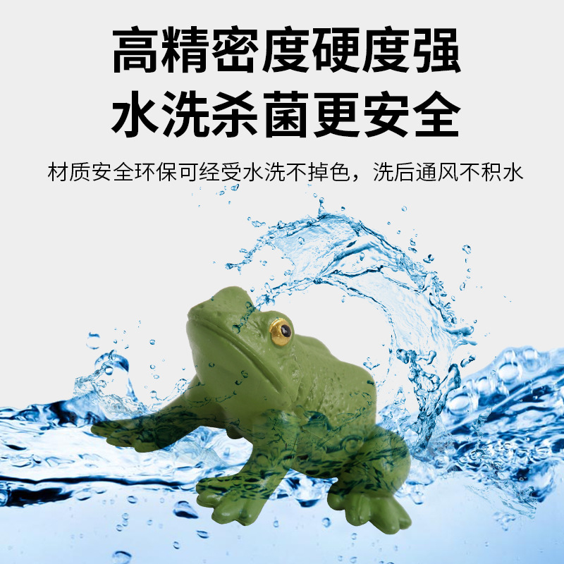 Wholesale of Montessori teaching AIDS, figurines and ornaments featuring simulated animal models, insects, roosters, butterflies, turtles, frogs, growth cycles Specification drawing