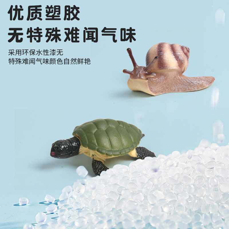 Wholesale of Montessori teaching AIDS, figurines and ornaments featuring simulated animal models, insects, roosters, butterflies, turtles, frogs, growth cycles details Picture