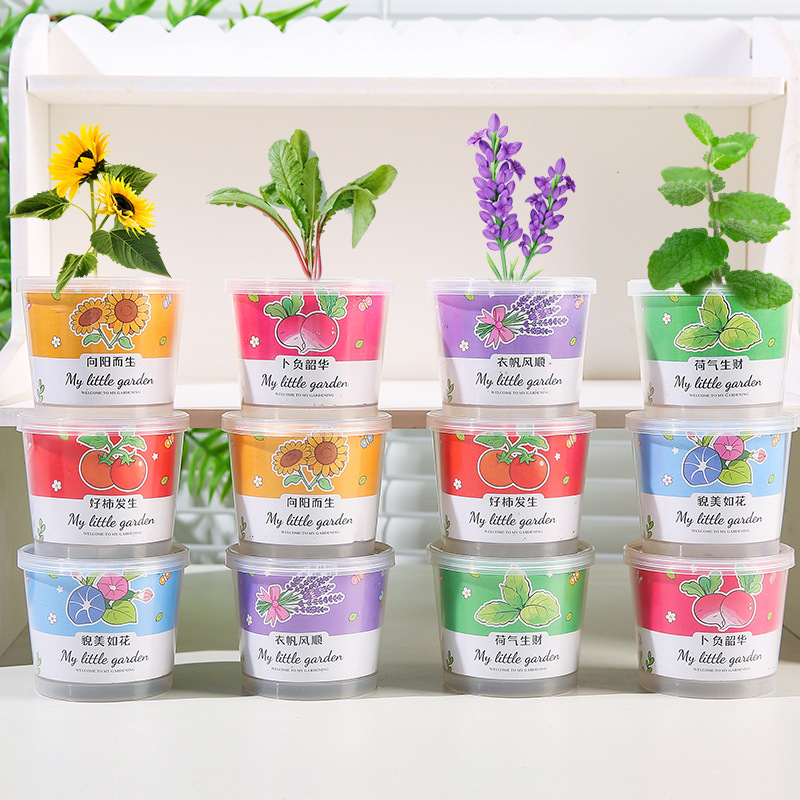 Planting small potted vegetable plants, cultivating children's and students' interest, diy kindergarten opening gifts and reward gifts details Picture
