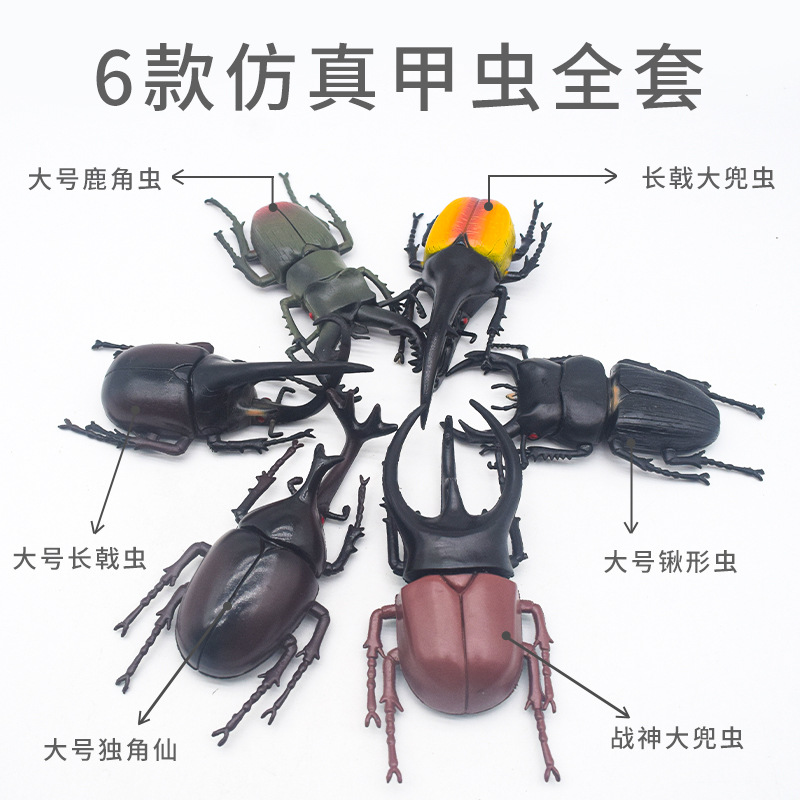 Cross-border wholesale of simulated insect toys, large beetle and rhinoceros beetle models, children's toys, insect and animal models, and ornaments Application Scenario