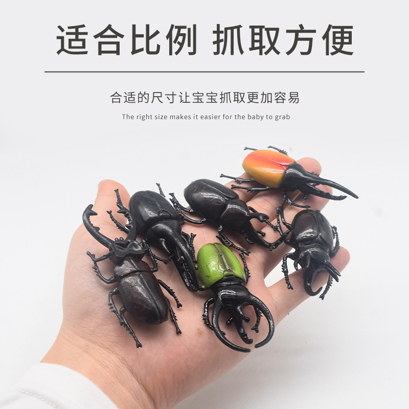 Carefully selected creative mini beetle model decoration new children's fun small toy set, realistic insect ornaments details Picture