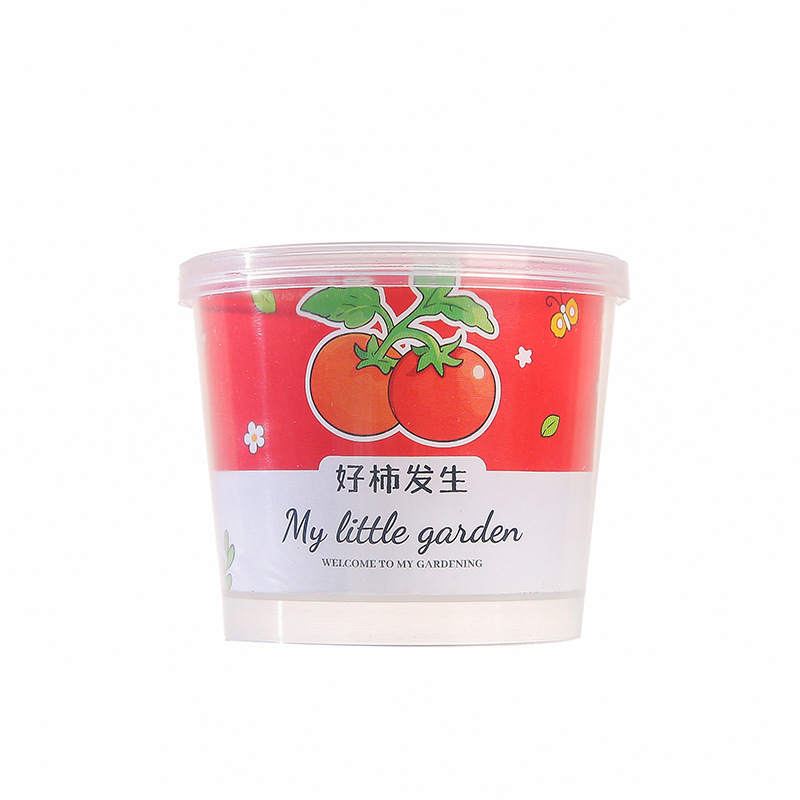 Planting small potted vegetable plants, cultivating children's and students' interest, diy kindergarten opening gifts and reward gifts Item Picture
