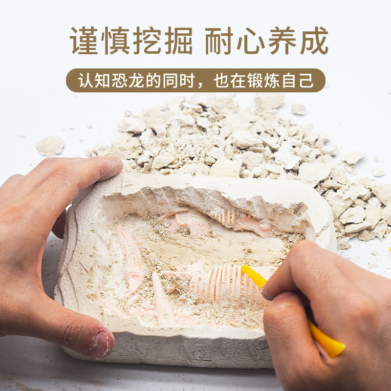 New Dinosaur skeleton excavation 2022 New Children's Intellectual Interest Cultivation Archaeological Dinosaur skeleton assembly Application Scenario