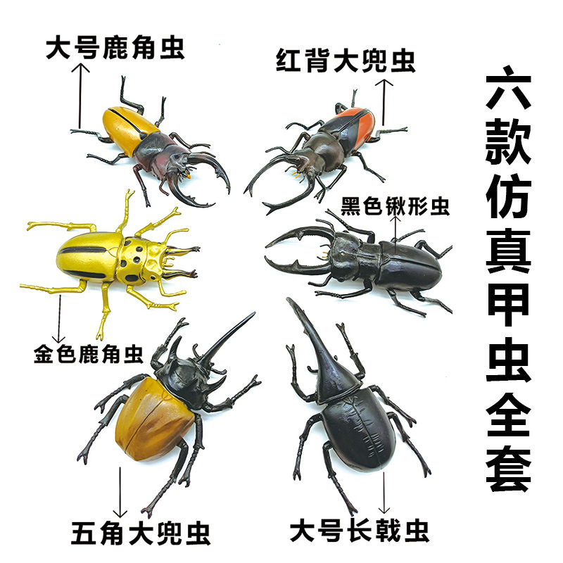 Foreign trade simulation insect toys, large beetle, stag beetle prank model ornaments, children's cognitive toys, early education gifts Item Picture