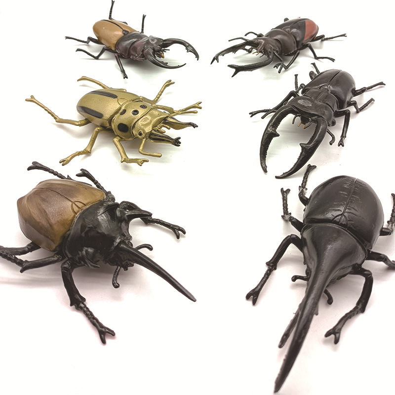 Foreign trade simulation insect toys, large beetle, stag beetle prank model ornaments, children's cognitive toys, early education gifts Specification drawing