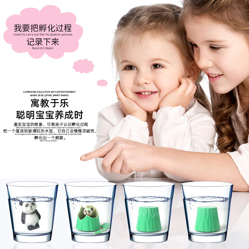 New fun water-absorbing and hatching educational toys for bamboo and panda eggs details Picture
