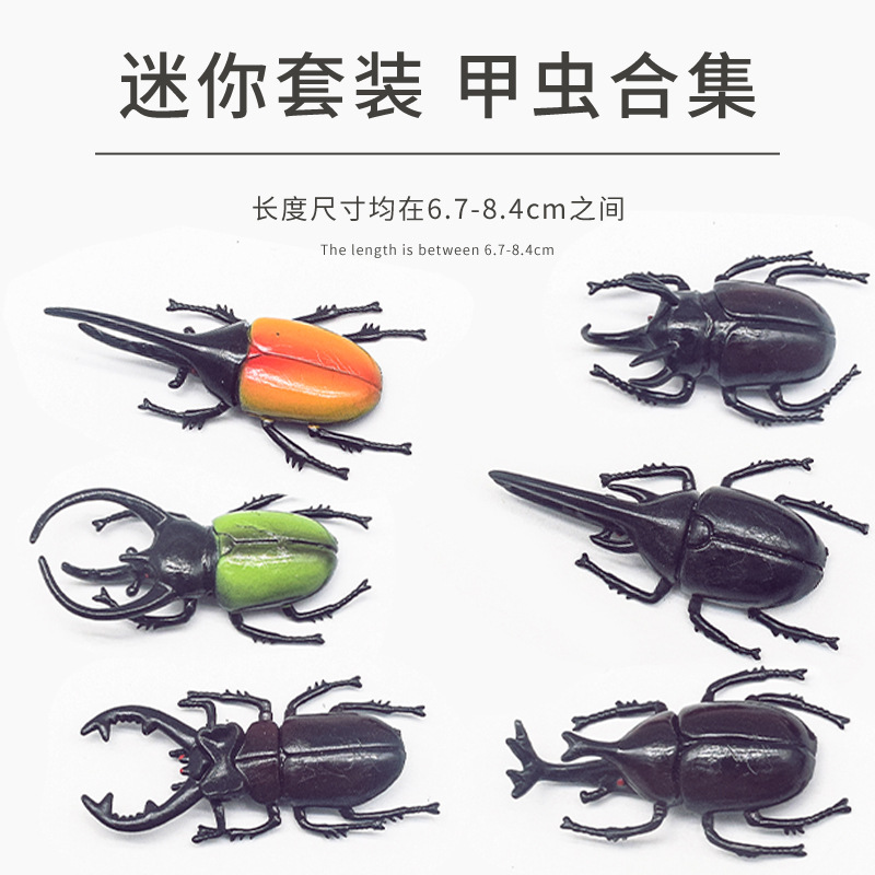 Carefully selected creative mini beetle model decoration new children's fun small toy set, realistic insect ornaments Application Scenario