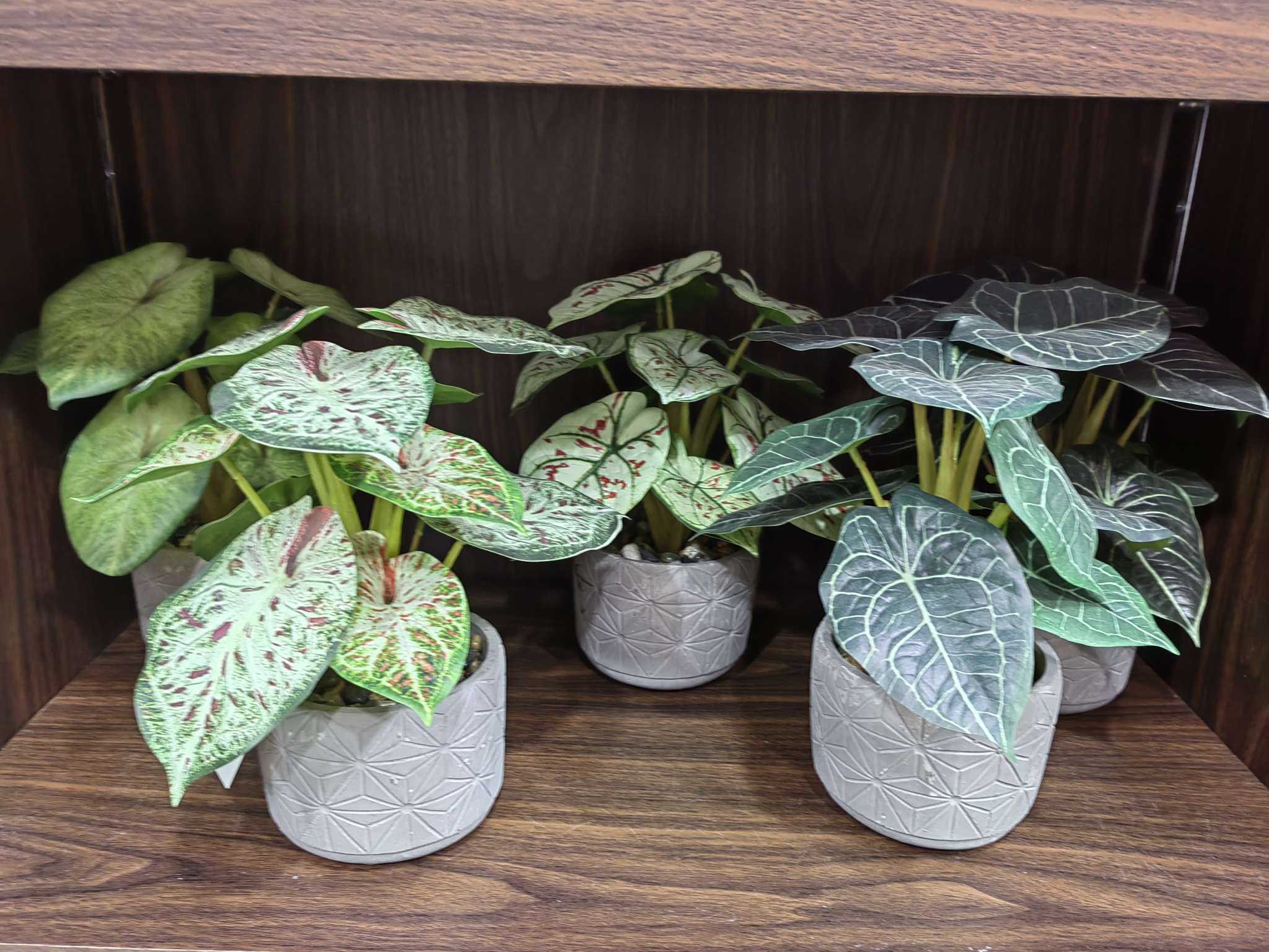 萌粒树脂工艺品财神小猫摆件香炉礼品模具创意家居装饰收藏品