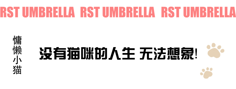 RST星宝新款猫咪透明伞自动开雨伞宽边拼接彩色塑料伞品牌平替详情8