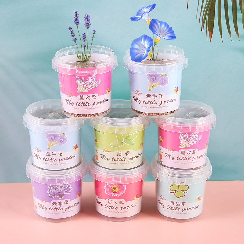 Children grow small potted sunflowers, sunflowers, strawberry flowers, seeds, plant growth observation, and vegetable seeds full figure