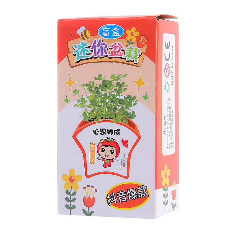 Green plants, small potted plants, children's homework, diy mini planting, scientific experiment, little flower farmer, flower seed gift blind box Item Picture