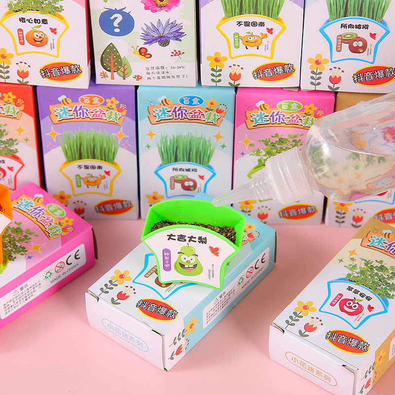 Green plants, small potted plants, children's homework, diy mini planting, scientific experiment, little flower farmer, flower seed gift blind box Specification drawing