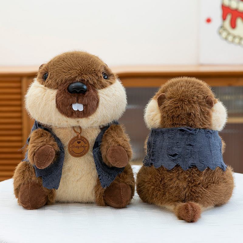 New cute and realistic marmot plush toys, fun marmot dolls, and children's gifts Specification drawing