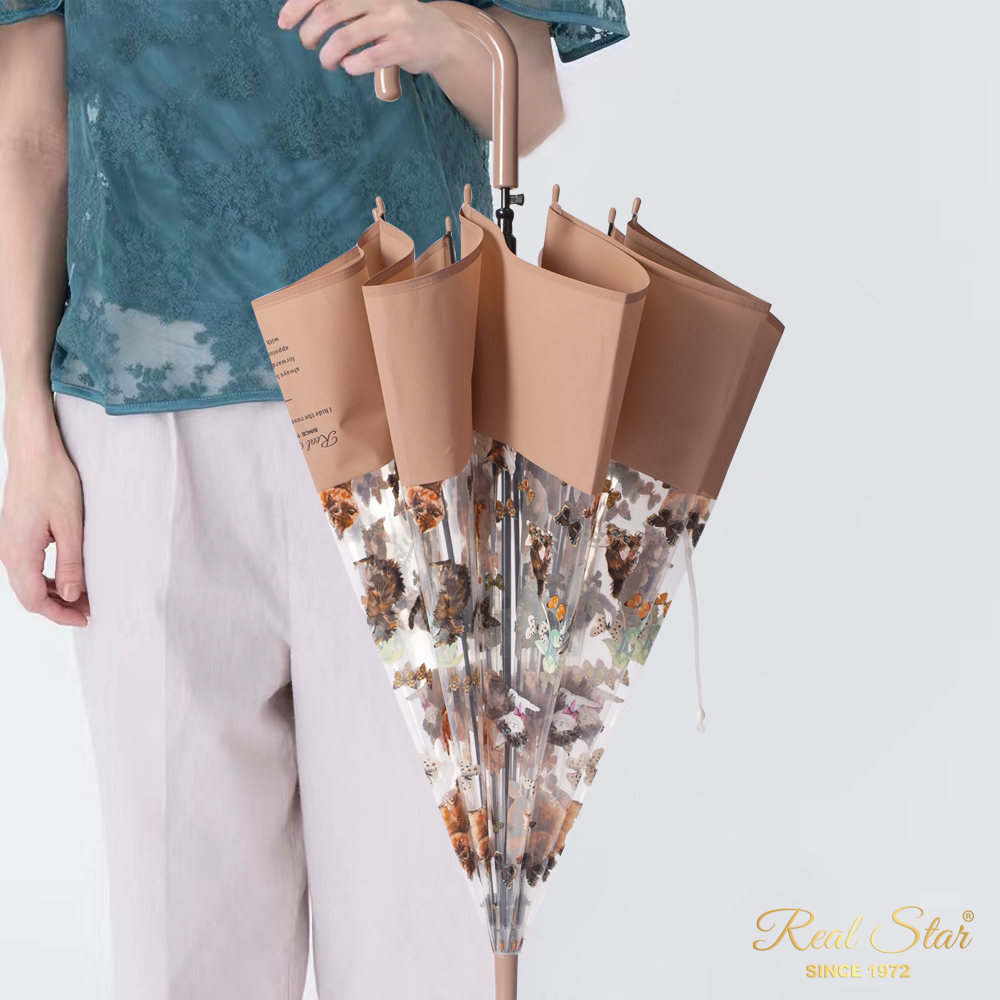 RST星宝新款猫咪透明伞自动开雨伞宽边拼接彩色塑料伞品牌平替细节图
