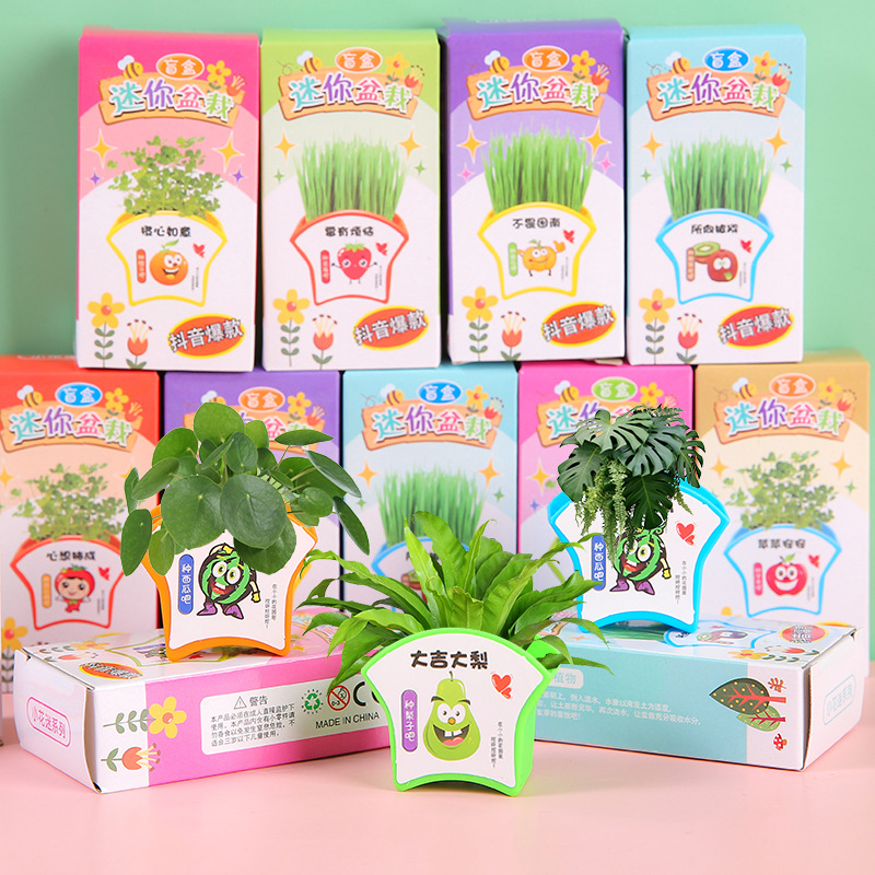 Green plants, small potted plants, children's homework, diy mini planting, scientific experiment, little flower farmer, flower seed gift blind box full figure