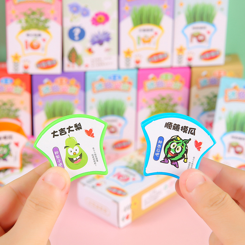 Green plants, small potted plants, children's homework, diy mini planting, scientific experiment, little flower farmer, flower seed gift blind box details Picture